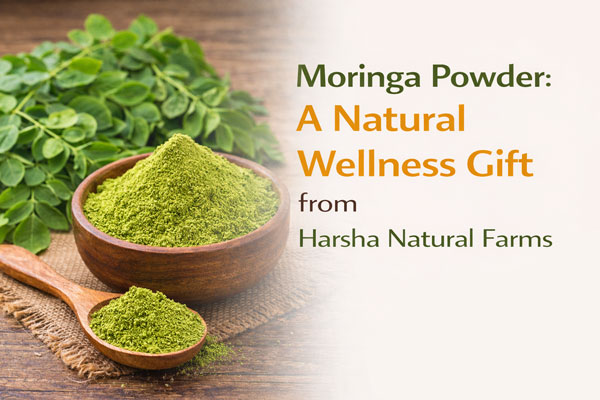 Moringa Powder: A Natural Wellness Gift from Harsha Natural Farms