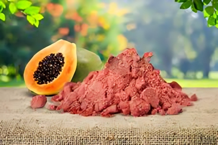 Papaya Powder Suppliers in Madhya Pradesh