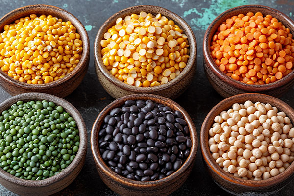 Pulses Suppliers in Madhya Pradesh