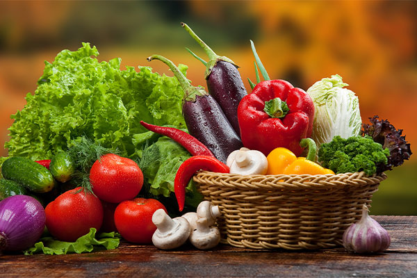 Vegetables Suppliers in Madhya Pradesh