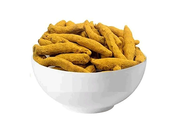 Dry Turmeric Finger Manufacturers in Madhya Pradesh