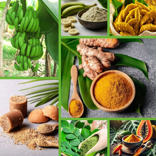 Leicht Müller Syscotec Gmbh